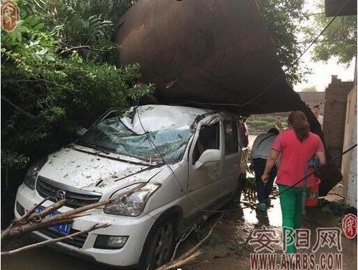 殯葬車意外掉落遺體，司機誤以為是撞人事件