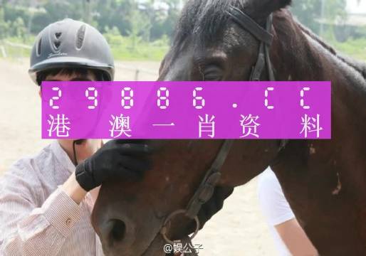 澳門最準(zhǔn)一肖一碼一碼匠子生活，最佳精選解釋落實(shí)_網(wǎng)頁版95.71.16