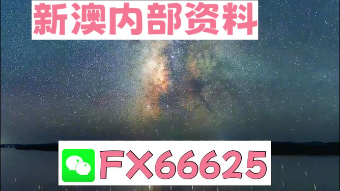 新澳天天彩正版資料，動態詞語解釋落實_ios62.9.58