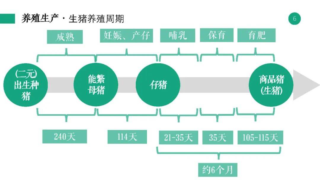 新奧彩資料長期免費公開,高效分析說明_完整集88.587