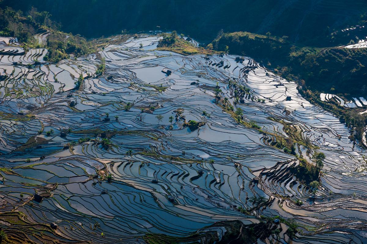 部隊穿越哀牢山現場實拍，震撼畫面展現！