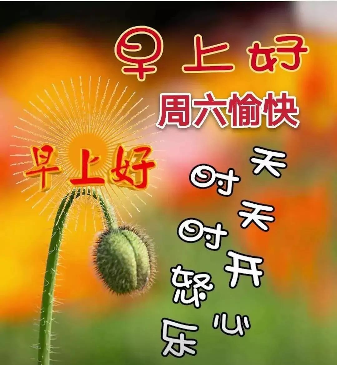 最新更新視頻，溫馨小日常里的友情與陪伴時(shí)光