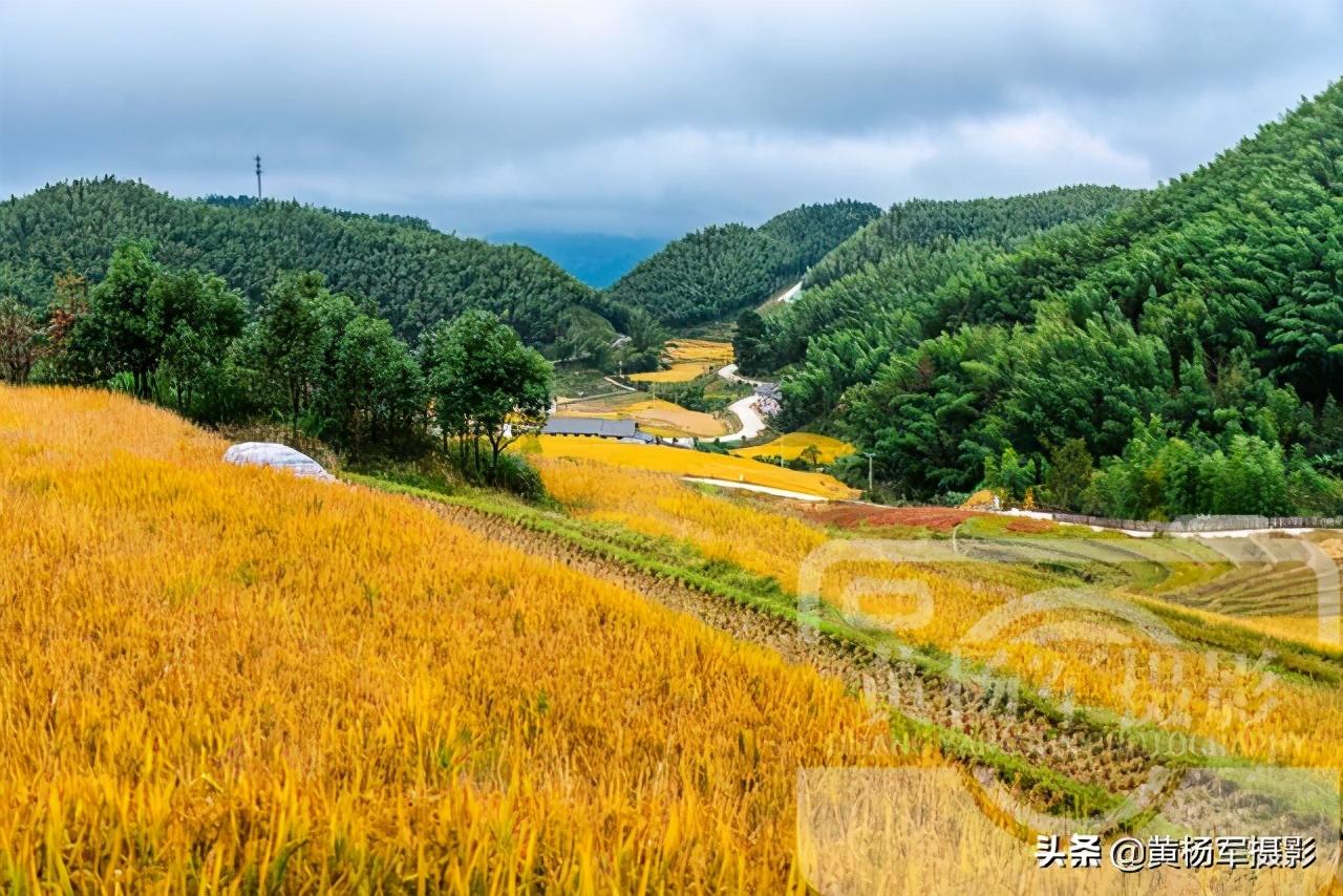 贛州高鐵最新動態，啟程探索自然美景的旅程！