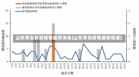 山東青島最新疫情觀點論述解析