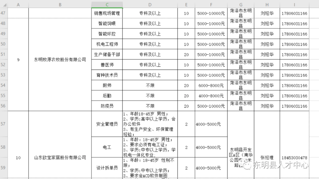 東明最新招聘信息，求職奇遇與友情的溫暖紐帶