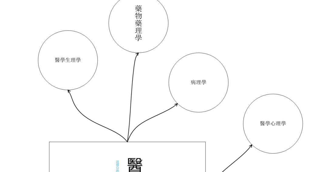 2024今晚澳門跑狗圖,案例實證分析_CXC27.245感知版