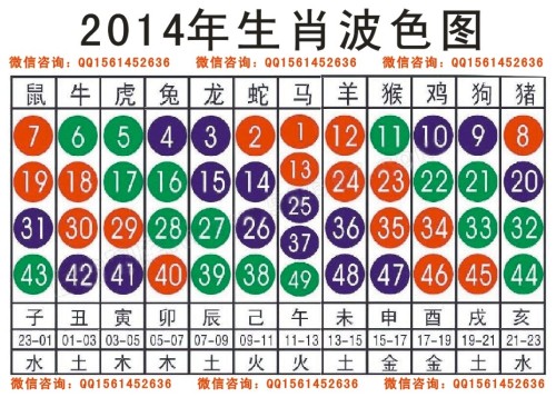 2024十二生肖49碼表,實地數據驗證_RNW81.577先鋒版