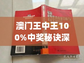 澳門王中王100%期期中,重要性解釋定義方法_復刻版12.169-2