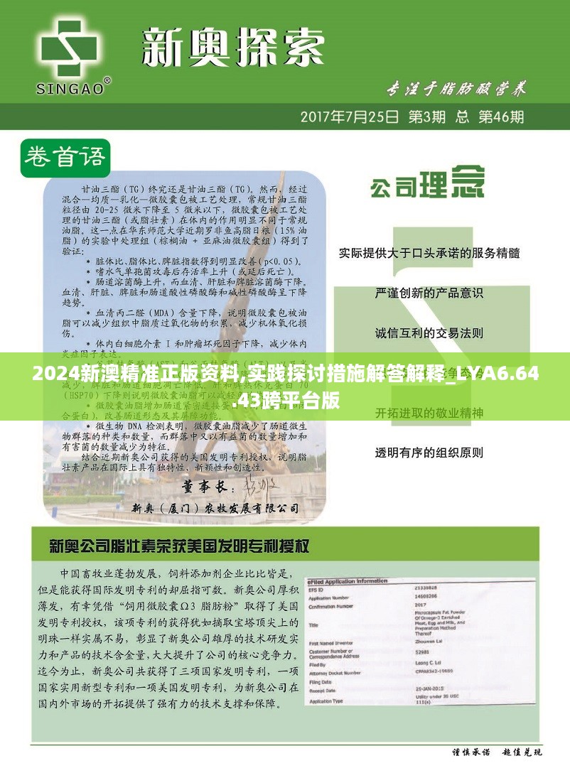 2024新澳精準正版資料,高效計劃實施_媒體版HNY71.053