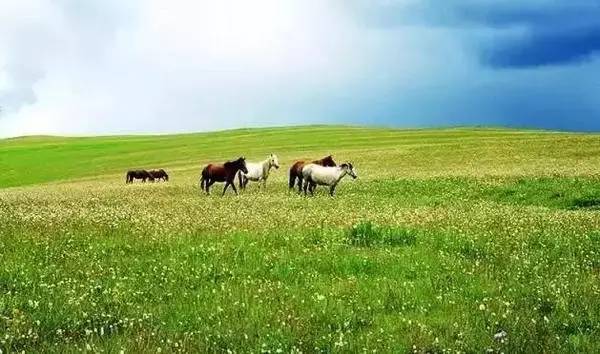 淘禮包最新版，自然美景之旅的啟程號角