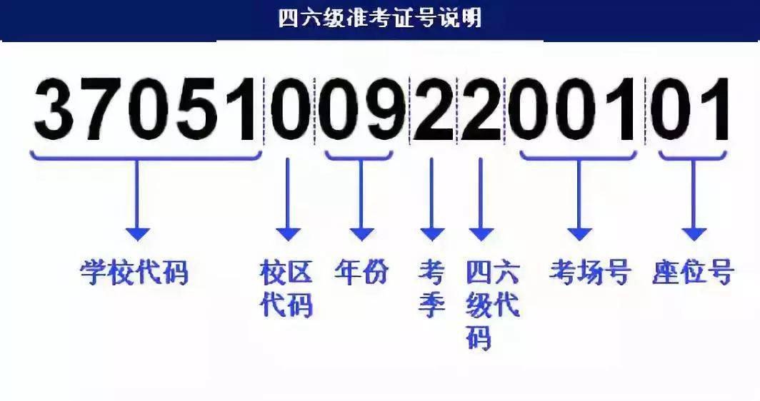 新澳門二四六天天開獎,快速解答方案設計_共享版15.422