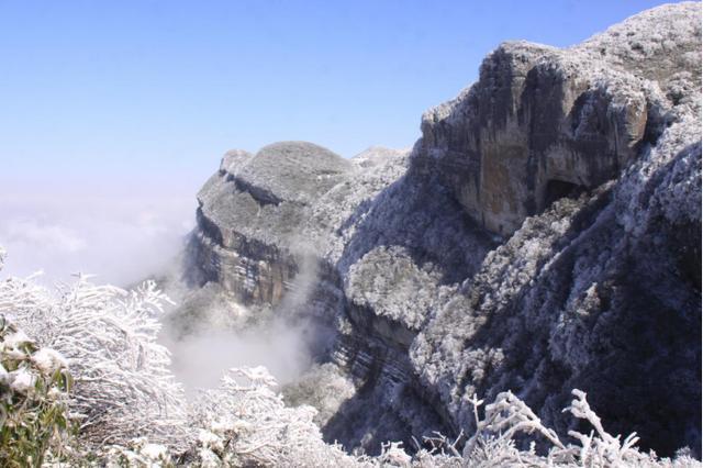 金佛山旅游最新攻略大全，暢游山水之間