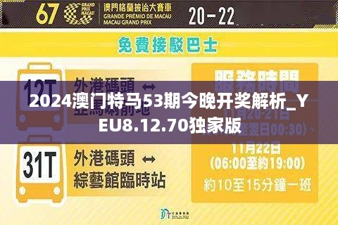 2024今晚澳門開特馬開什么,實踐調查說明_增強版16.334